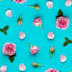 Meet your Posher, Hadeel